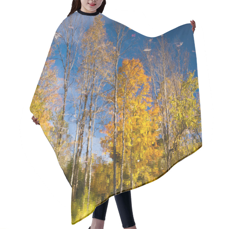 Personality  Reflection Of Fall Leaves Hair Cutting Cape