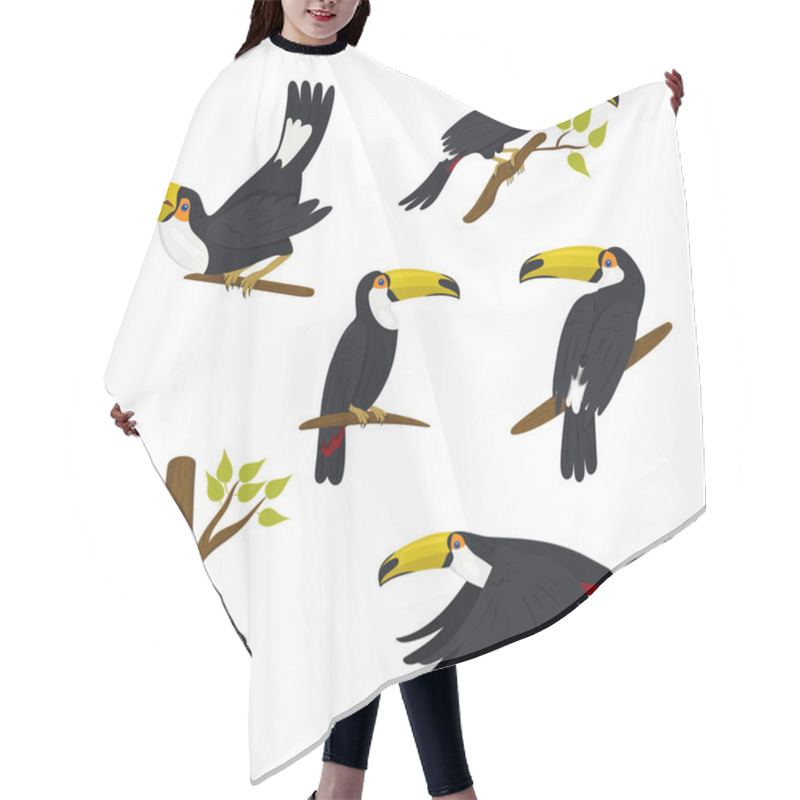 Personality  Collection Of Toucans Isolated On A White Background. Vector Graphics. Hair Cutting Cape