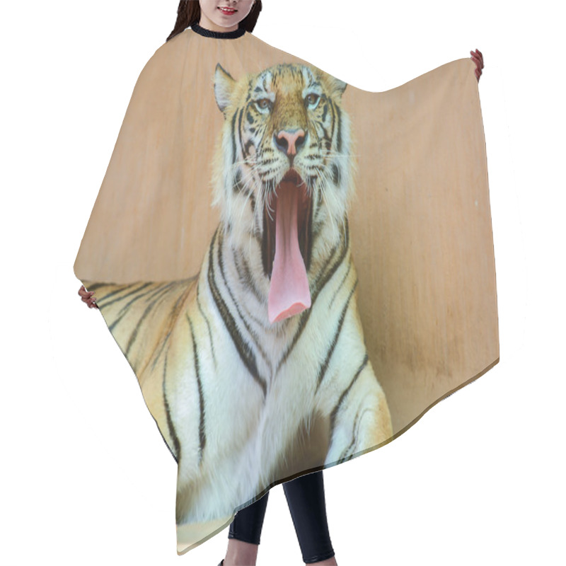 Personality  Tiger Hair Cutting Cape