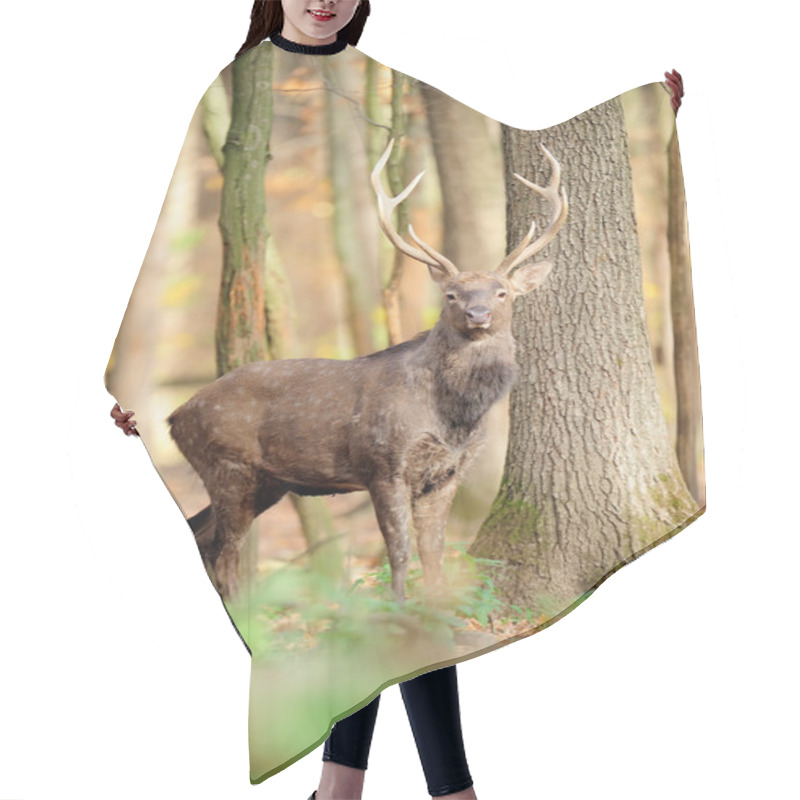 Personality  Deer Hair Cutting Cape