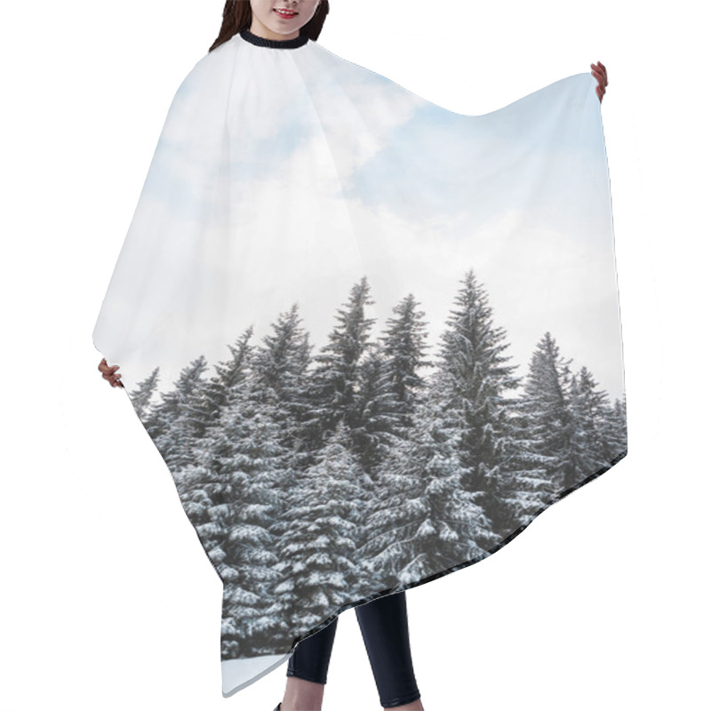 Personality  Low Angle View Of Pine Forest With Tall Trees Covered With Snow On Hill Hair Cutting Cape