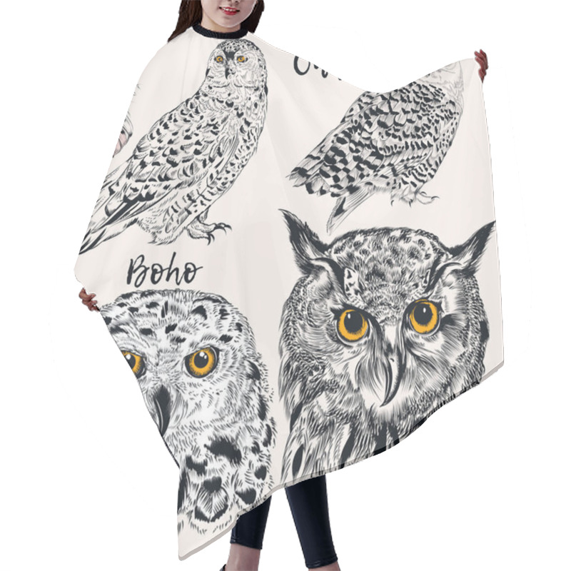 Personality  Collection Of Vector Hand Drawn Owls In Detiled Style. Hipster F Hair Cutting Cape