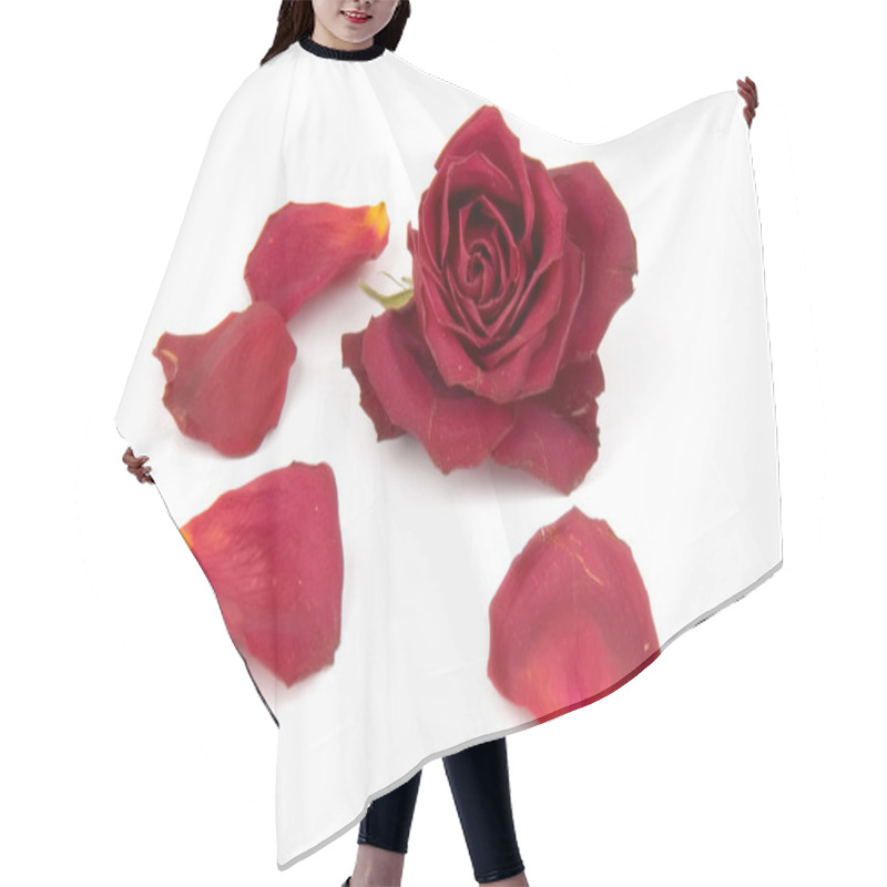 Personality  Red Rose Petals Hair Cutting Cape