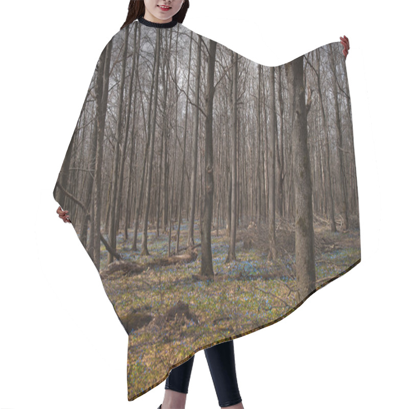 Personality  Spring Forest With Snowdrops Hair Cutting Cape