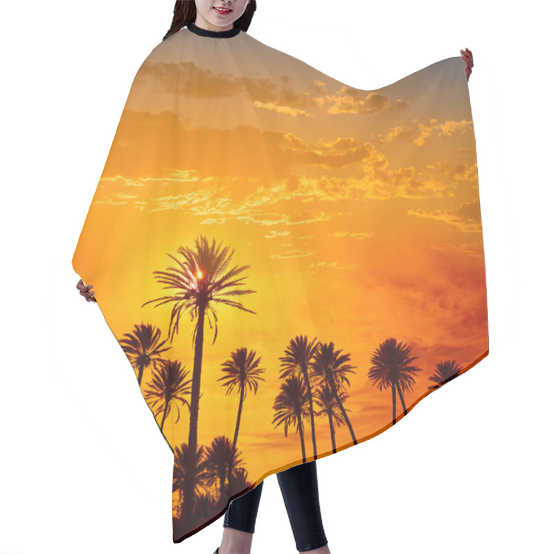 Personality  Almeria In Cabo Palm Trees In Rodalquilar Spain Hair Cutting Cape