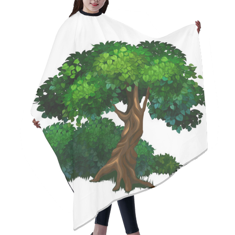 Personality  Large Tree Oak. Nature, Forest, Ecology Concept Hair Cutting Cape