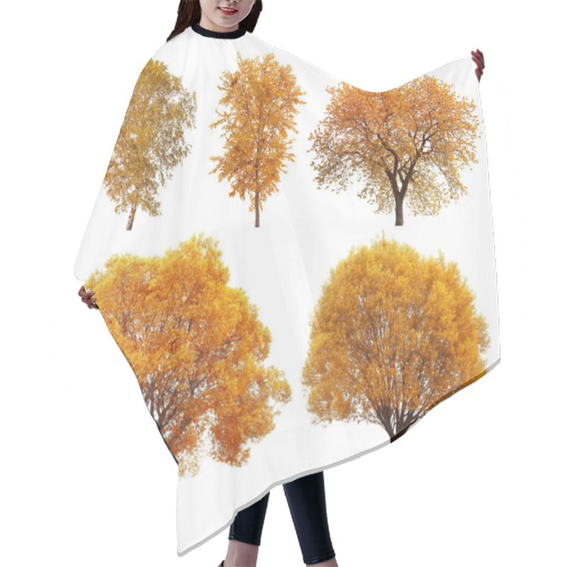 Personality  Great Collection Of Autumn Trees Hair Cutting Cape