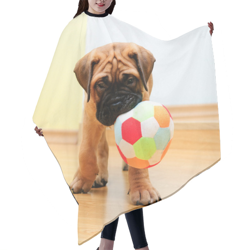 Personality  Little Puppy Bullmastiff Hair Cutting Cape