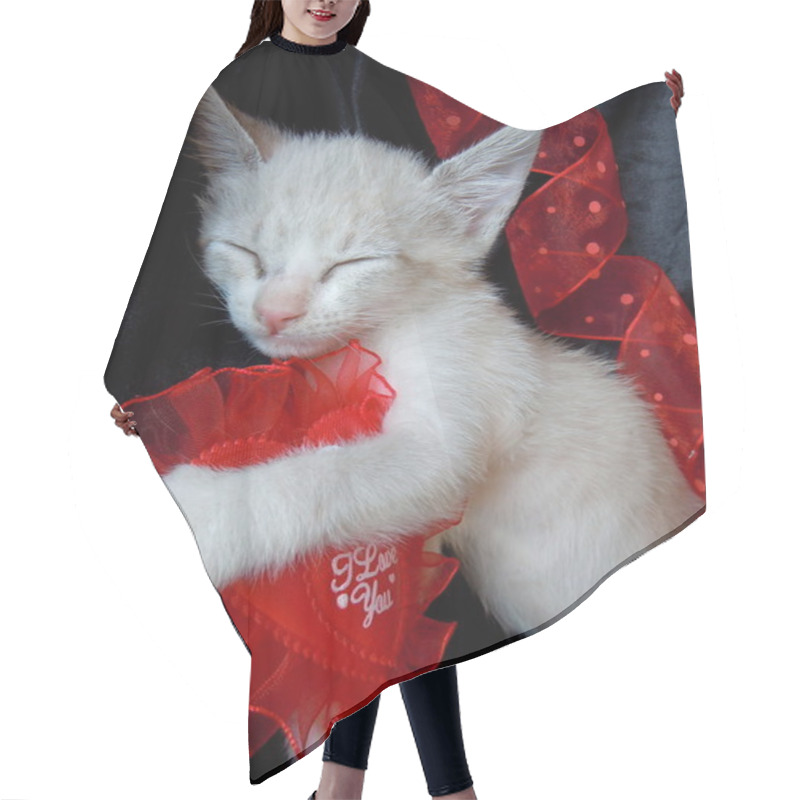 Personality  Pet's Valentine's Dream Hair Cutting Cape