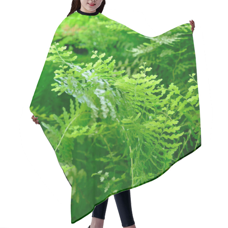 Personality  Plants In Aquarium Hair Cutting Cape