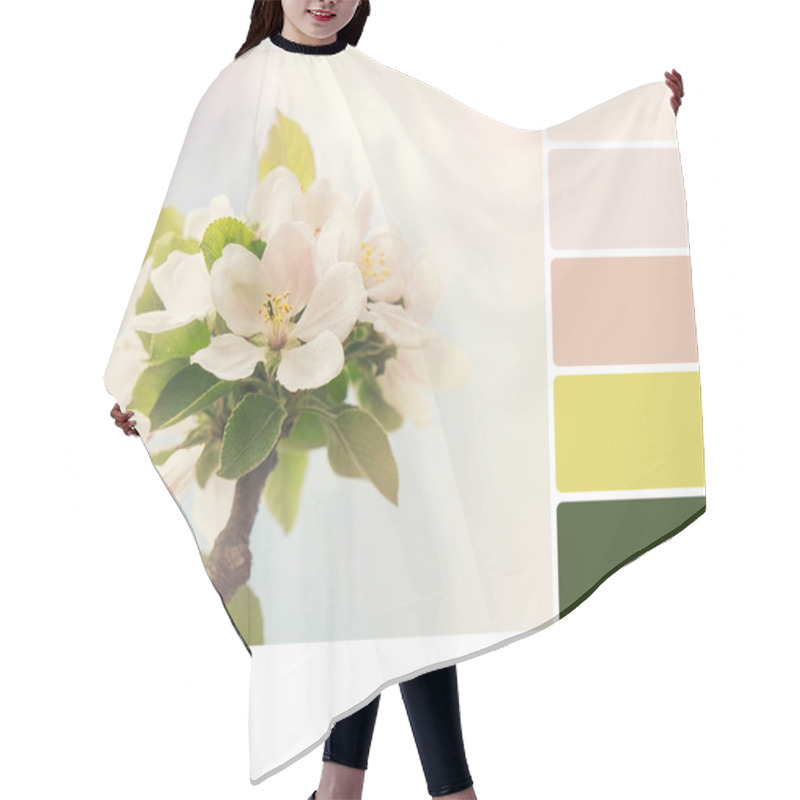 Personality  Apple Blossom In Springtime, With Retro Style Processing, In A Colour Palette With Complimentary Colour Swatches. Hair Cutting Cape