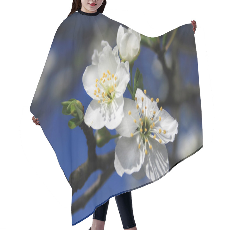 Personality  Beautiful Closeup Spring Blossoming Tree Hair Cutting Cape