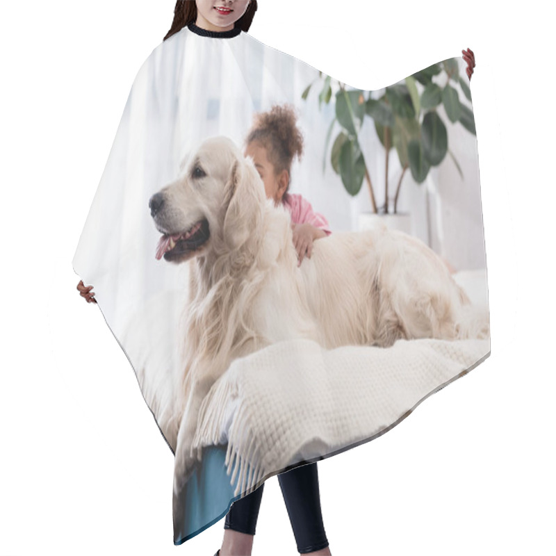 Personality  Adorable African American Kid Sitting On The Bed Behind Her Golden Retriever Hair Cutting Cape