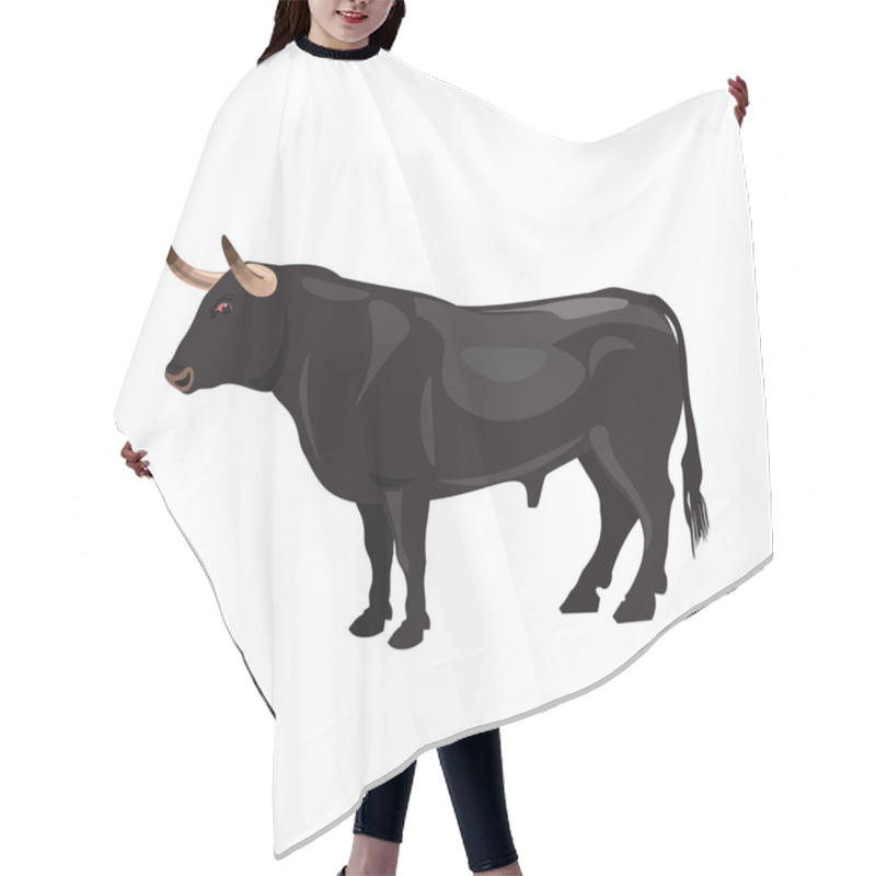 Personality  Spanish Fighting Bull Hair Cutting Cape