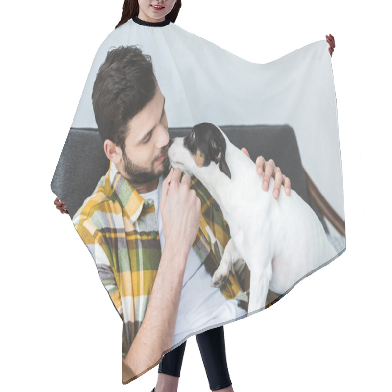 Personality  Handsome Man And Jack Russell Terrier Dog Sitting On Sofa At Home  Hair Cutting Cape