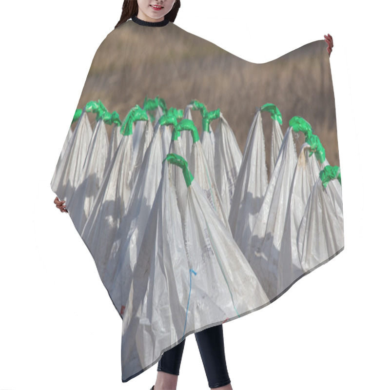 Personality  Fertilizers Hair Cutting Cape