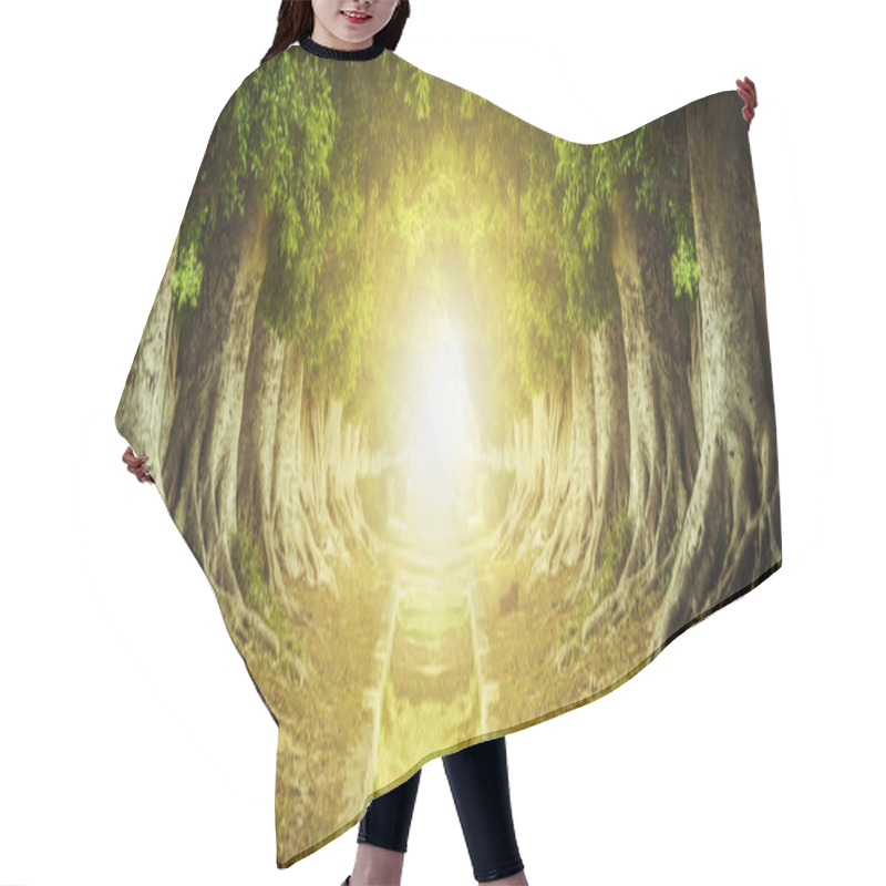 Personality  Tree Tunnel Hair Cutting Cape