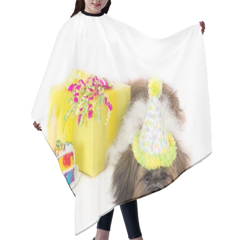 Personality  Birthday Doggy Hair Cutting Cape