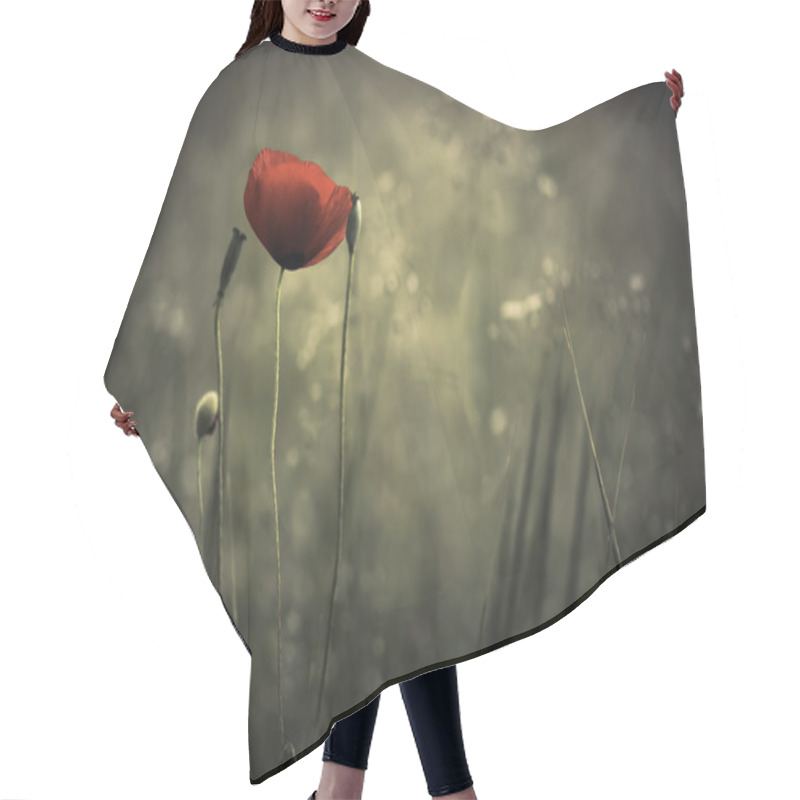 Personality  Poppy Hair Cutting Cape