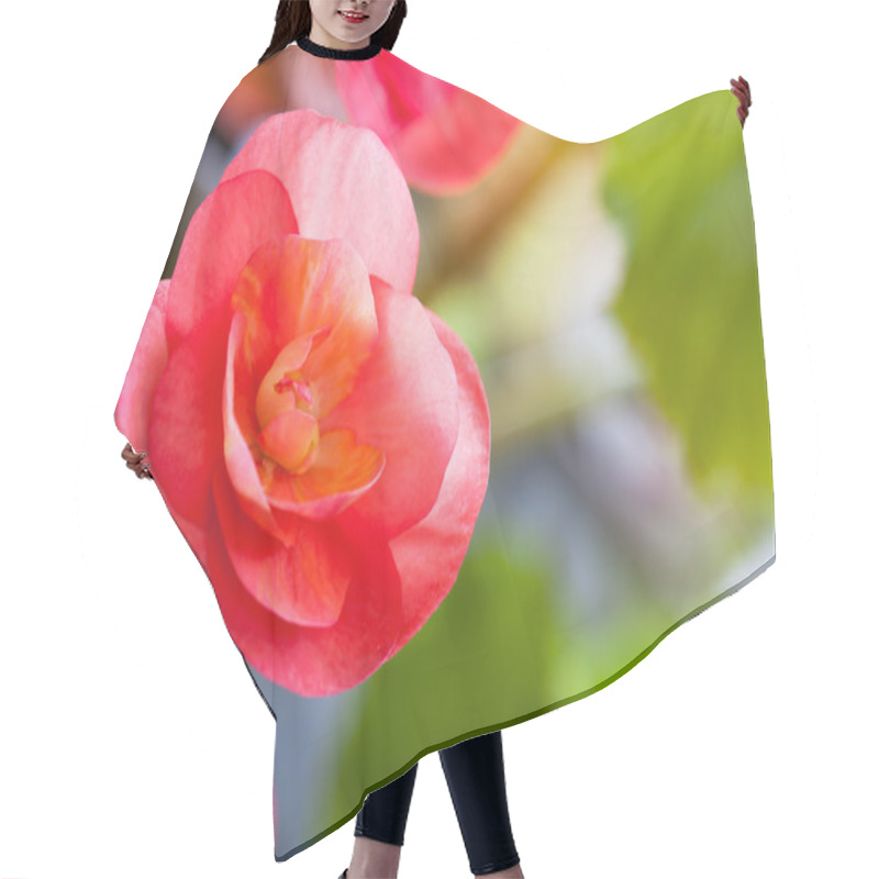 Personality  Begonia Bloom Hair Cutting Cape