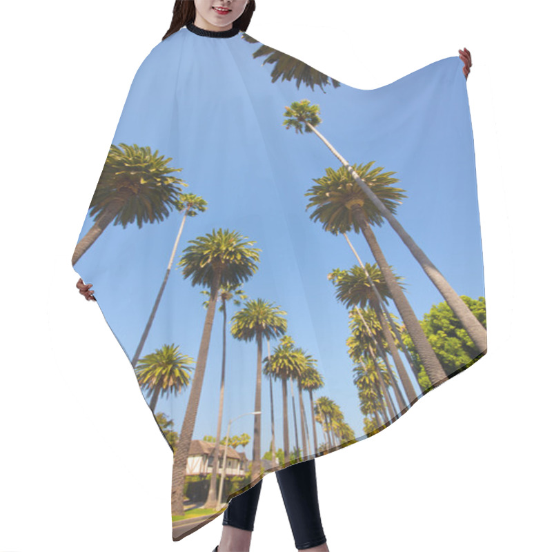 Personality  Beverly Hills Hair Cutting Cape