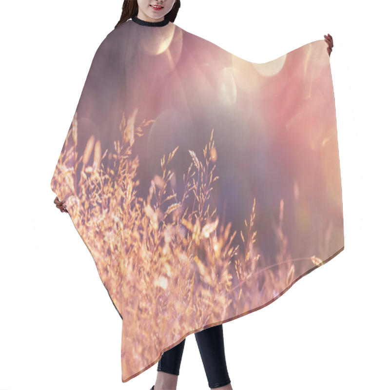 Personality  Sunny Day On The Flowers Meadow. Beautiful Natural Background. Hair Cutting Cape