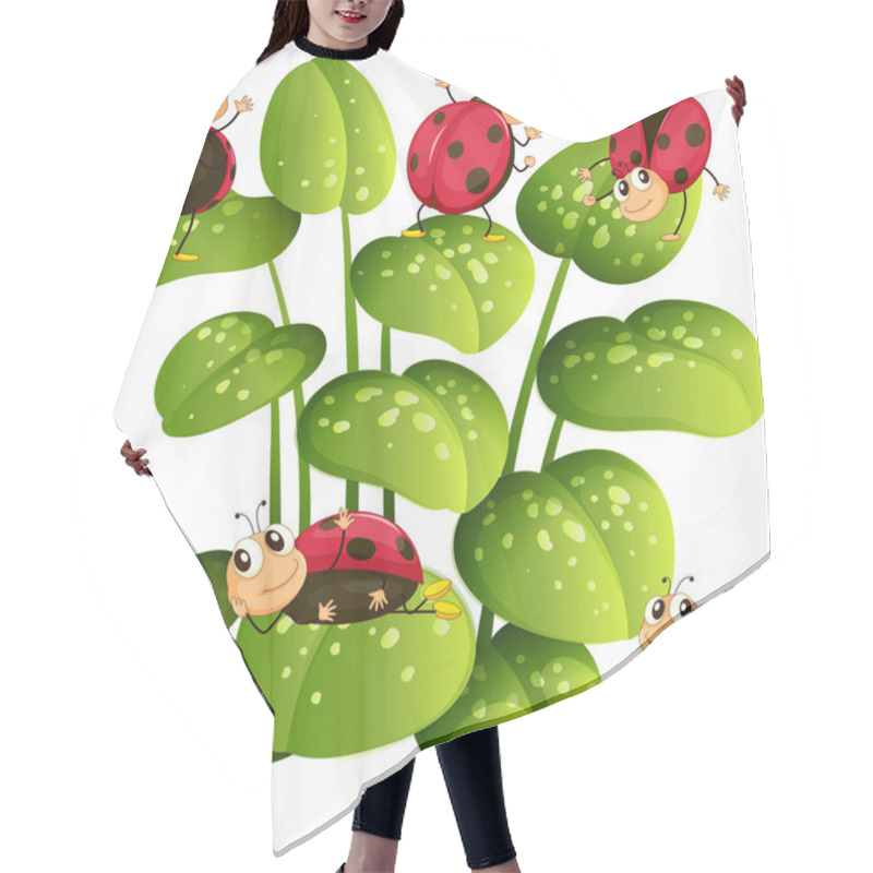 Personality  Ladybugs On Green Leaves Hair Cutting Cape