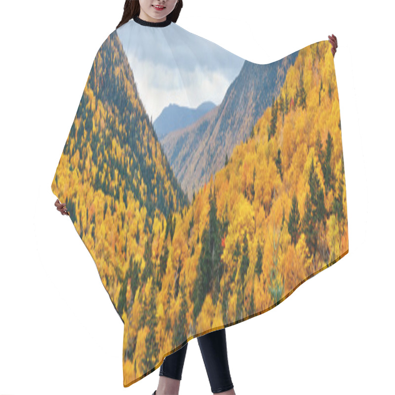 Personality  White Mountain View Hair Cutting Cape