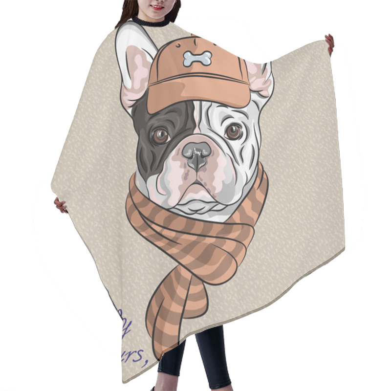 Personality  Vector Funny Cartoon Hipster Dog French Bulldog Breed Hair Cutting Cape