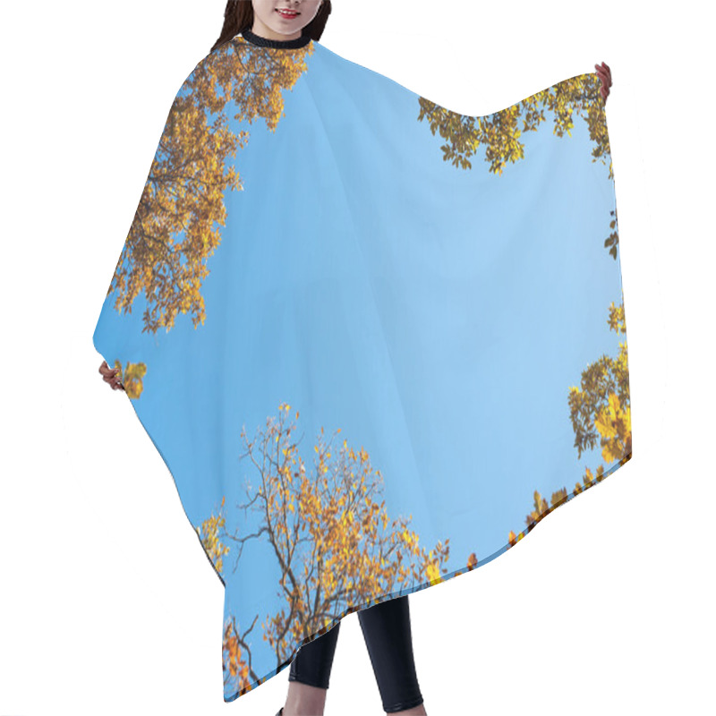 Personality  The Foliage Frame Hair Cutting Cape