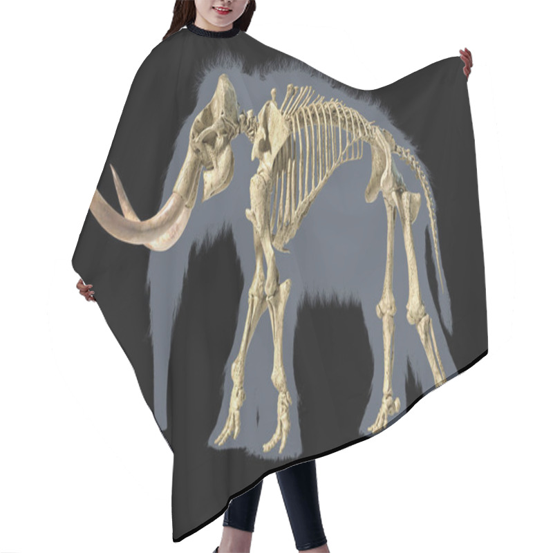 Personality  Woolly Mammoth Skeleton, Realistic 3d Illustration, Side View. Hair Cutting Cape