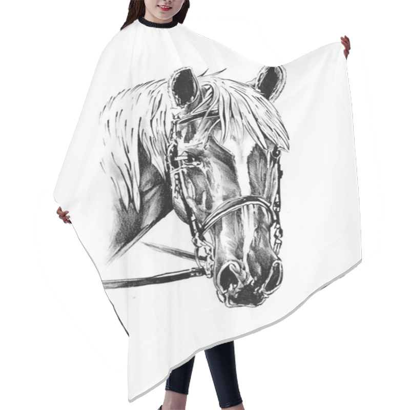 Personality  Horse Drawing Sketch Art Hair Cutting Cape