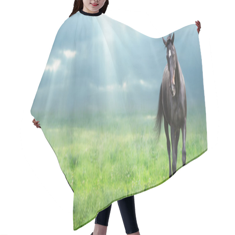 Personality  Running Black Horse Warmblooded At Morning Field, Banner Hair Cutting Cape