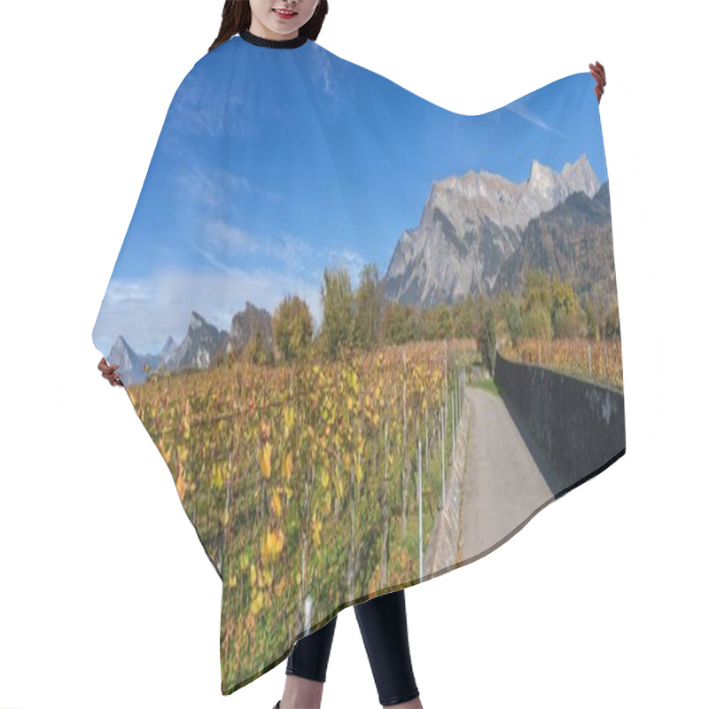 Personality  A Panorama View Of The Vineyards And Mountains In Maienfeld Village In Switzerland Hair Cutting Cape