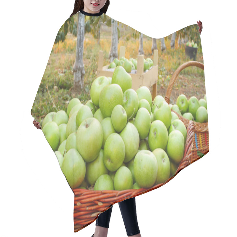 Personality  Apples In Baskets Hair Cutting Cape