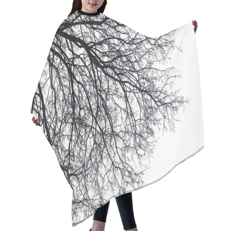 Personality  Dark Silhouette Of Bare Tree Branches Hair Cutting Cape