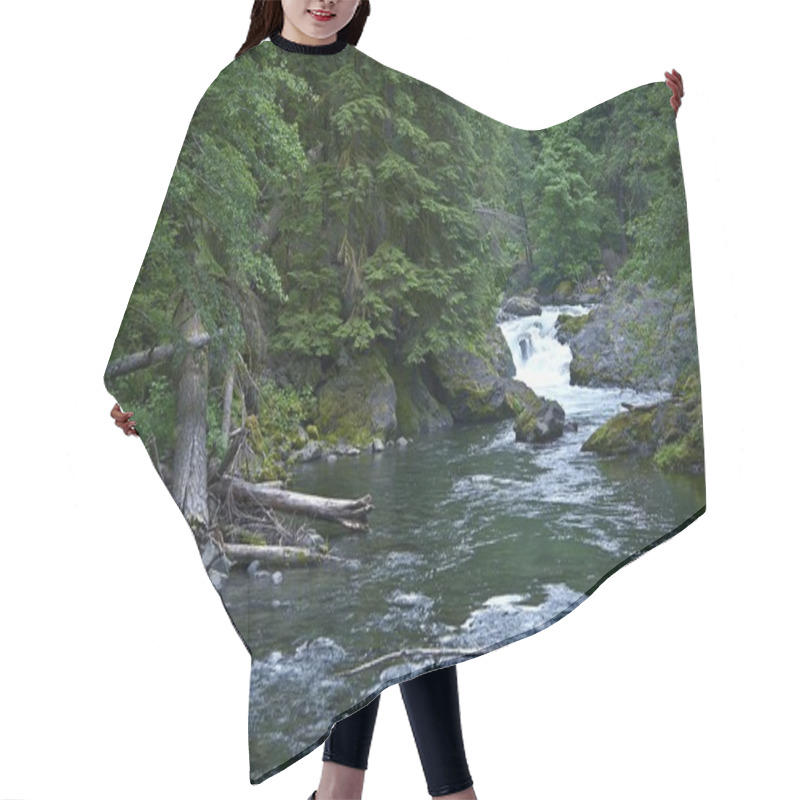 Personality  Rainforest Hoh River Hair Cutting Cape