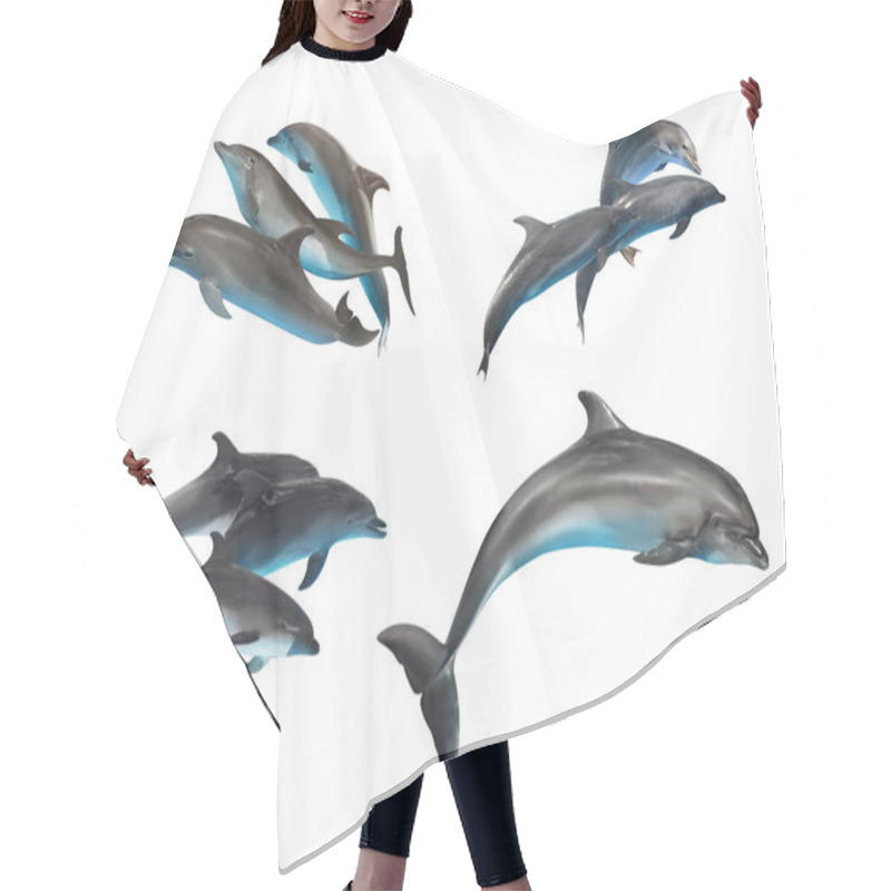 Personality  Beautiful Grey Bottlenose Dolphins On White Background, Collage Hair Cutting Cape