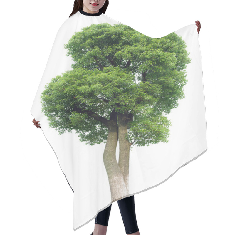 Personality  Small Tree(Camphor) Hair Cutting Cape