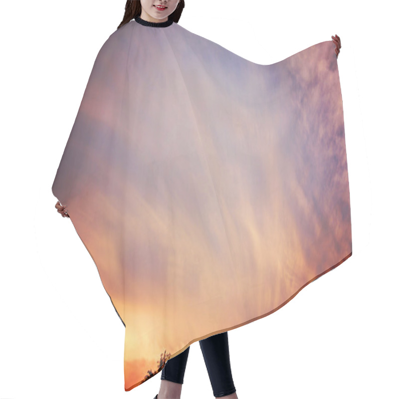 Personality  Sunset Over Treetop Hair Cutting Cape