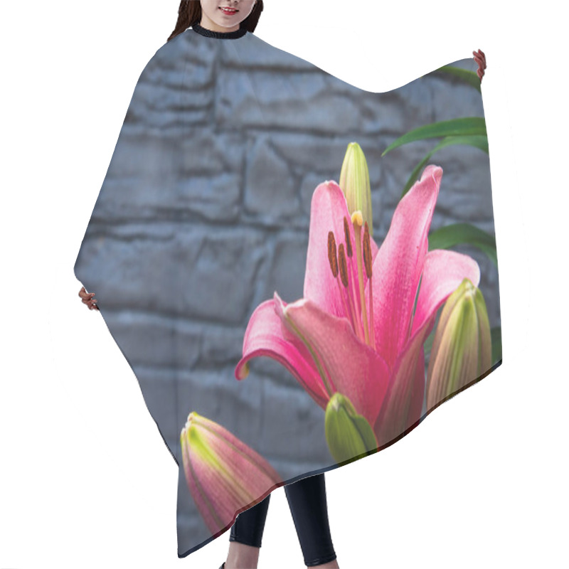 Personality  Pink Lilies Growing In The Home Garden, Lilies On Stamped Concre Hair Cutting Cape