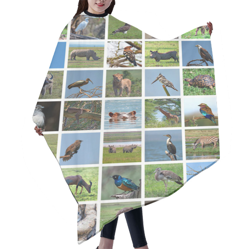 Personality  African Safari Collage. Wildlife Variety Hair Cutting Cape