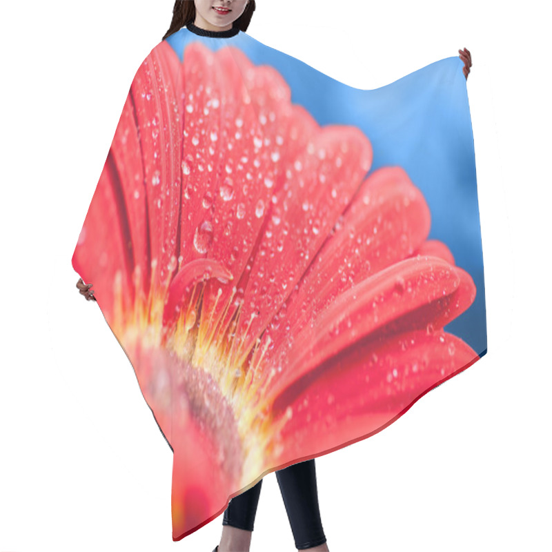 Personality  Wet Red Gerbera Flower Closeup Hair Cutting Cape