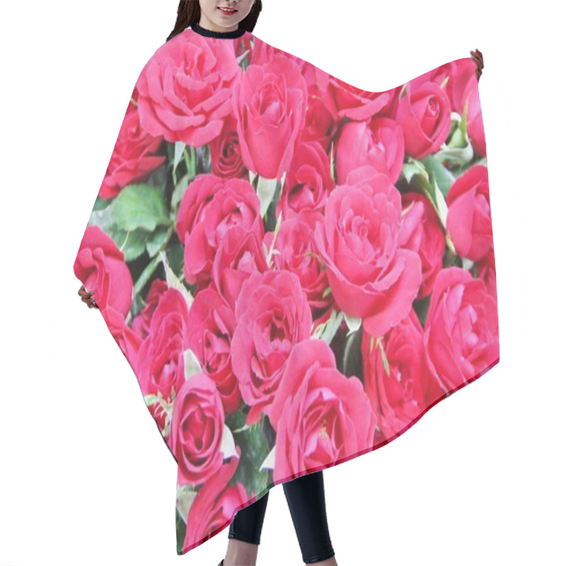 Personality  Beautiful View Of Bouquets Of The Red Roses  Hair Cutting Cape