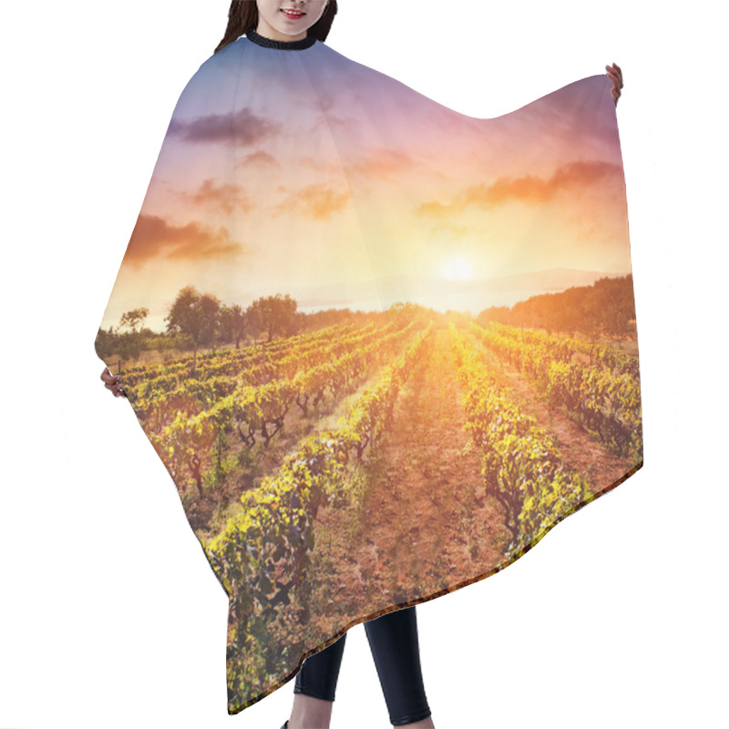 Personality  Vineyard Landscape Hair Cutting Cape