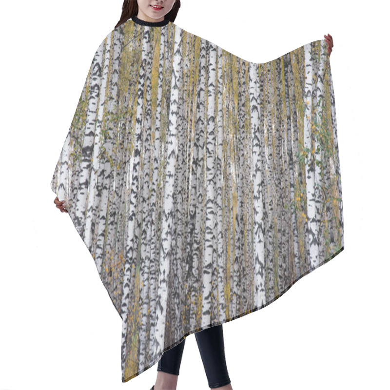 Personality  Autumn Birchwood Hair Cutting Cape