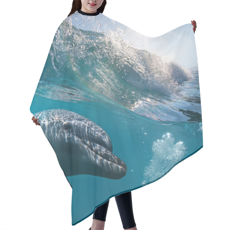 Personality  Small Flock Of Dolphins Hair Cutting Cape