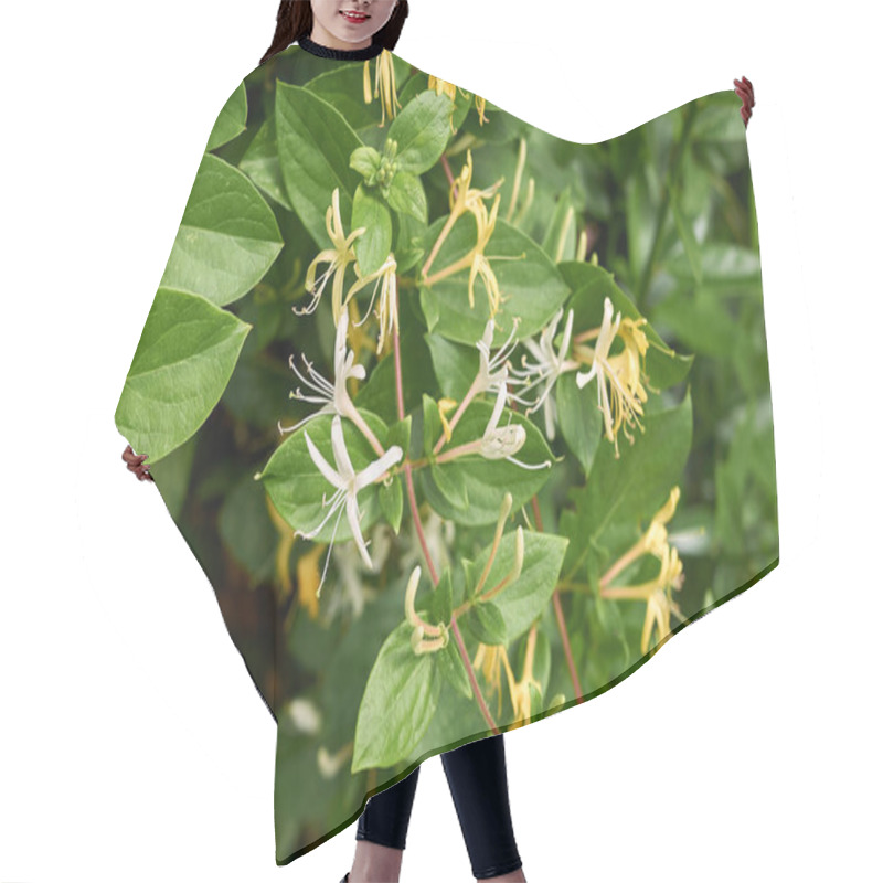 Personality  Lonicera Japonica In Bloom Hair Cutting Cape