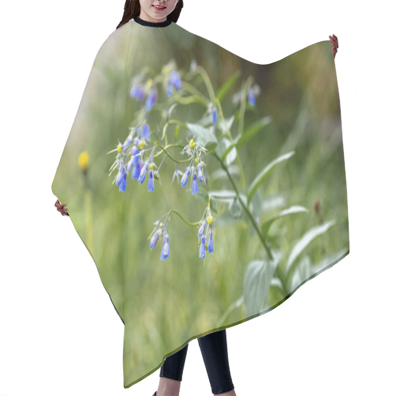 Personality  A Macro Shot Of Delicate Bluebell Flowers Hair Cutting Cape