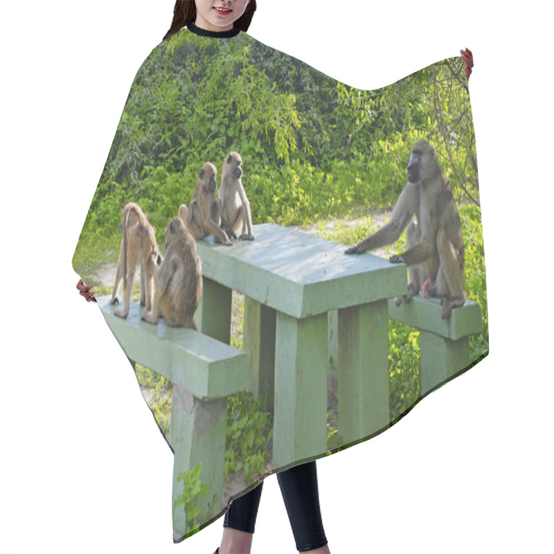 Personality  Baboon Family Hair Cutting Cape